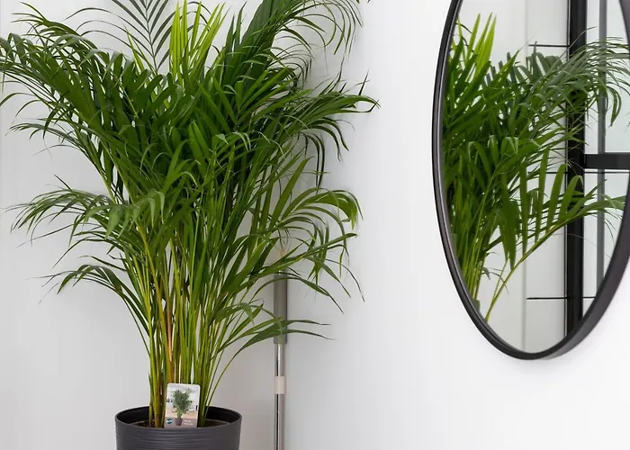 Apartamento Awanport Estate By Renters Gdynia